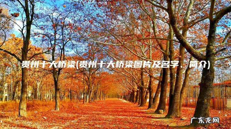 贵州十大桥梁(贵州十大桥梁图片及名字、简介)