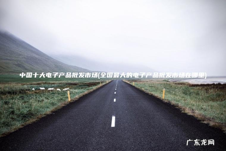 中国十大电子产品批发市场(全国最大的电子产品批发市场在哪里)