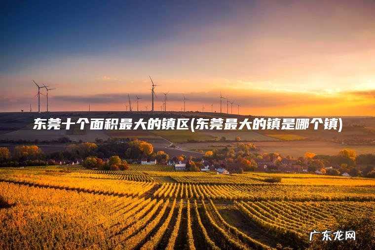 东莞十个面积最大的镇区(东莞最大的镇是哪个镇)