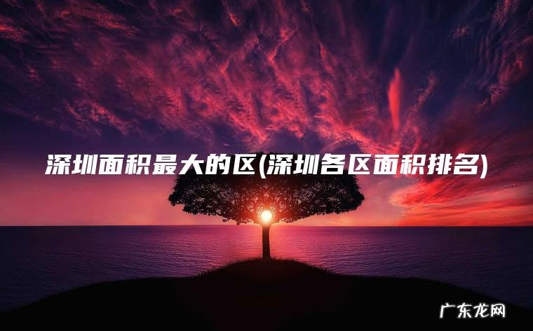 深圳面积最大的区(深圳各区面积排名)