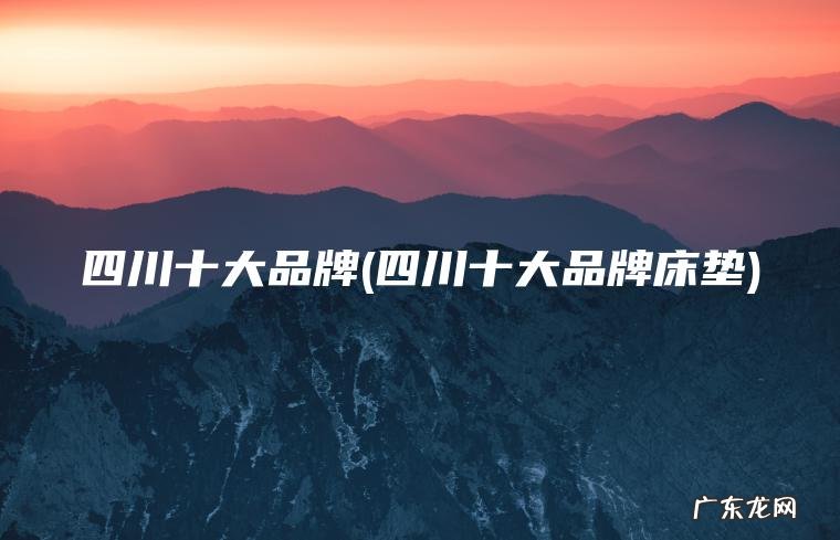 四川十大品牌(四川十大品牌床垫)