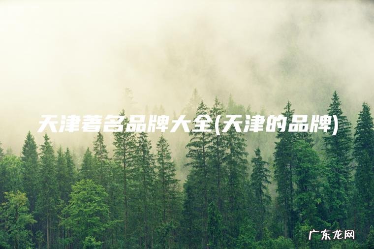 天津著名品牌大全(天津的品牌)