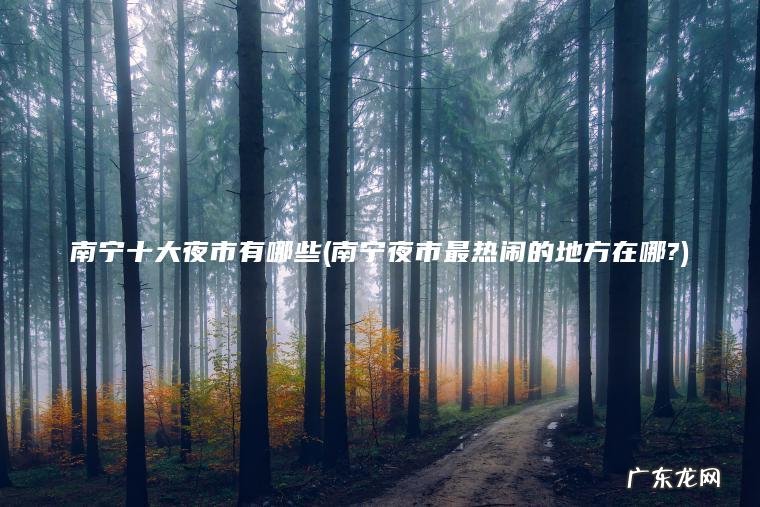 南宁十大夜市有哪些(南宁夜市最热闹的地方在哪?)