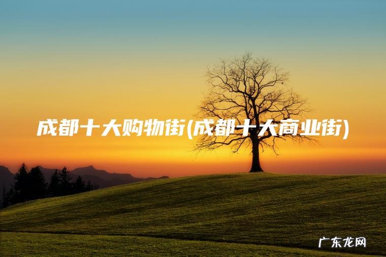 成都十大购物街(成都十大商业街)