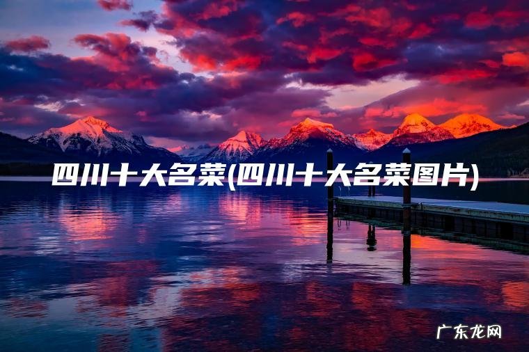 四川十大名菜(四川十大名菜图片)