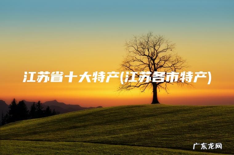 江苏省十大特产(江苏各市特产)