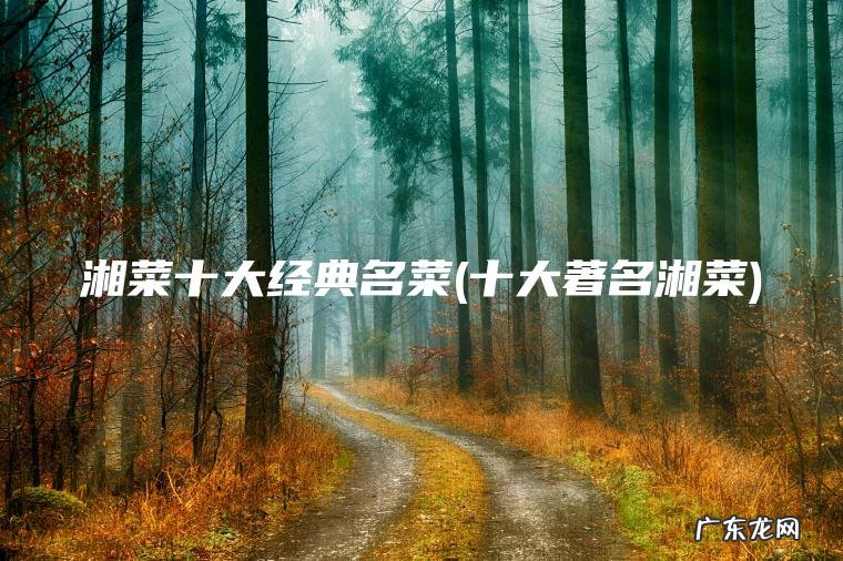 湘菜十大经典名菜(十大著名湘菜)