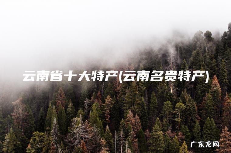 云南省十大特产(云南名贵特产)