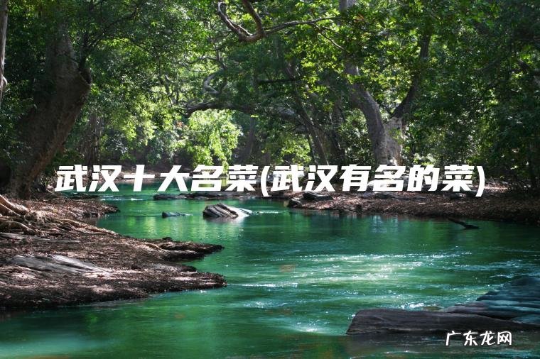武汉十大名菜(武汉有名的菜)