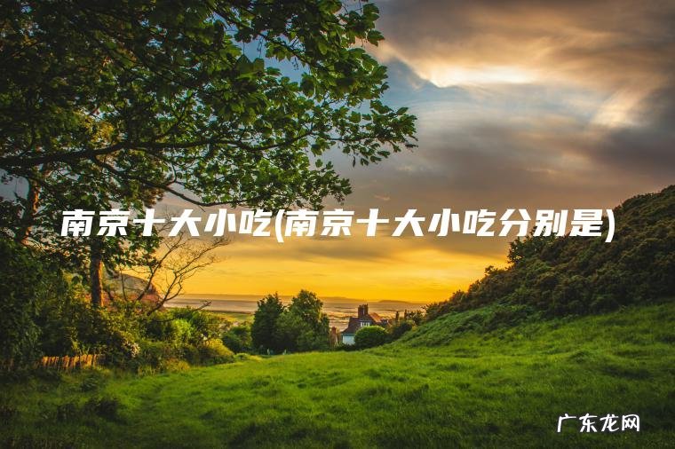 南京十大小吃(南京十大小吃分别是)