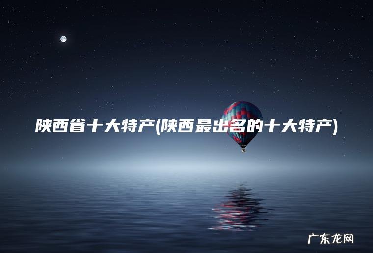 陕西省十大特产(陕西最出名的十大特产)