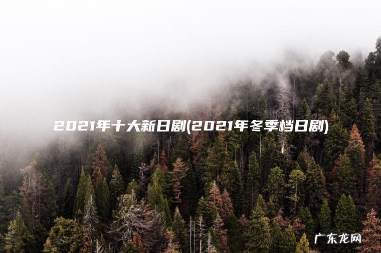 2021年十大新日剧(2021年冬季档日剧)