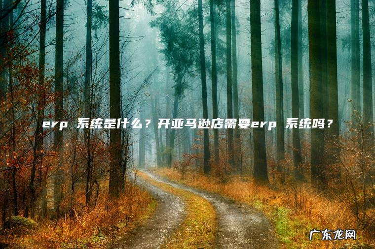 erp 系统是什么？开亚马逊店需要erp 系统吗？