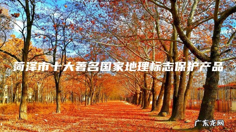 菏泽市十大著名国家地理标志保护产品