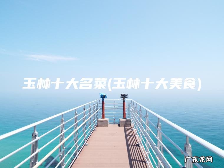 玉林十大名菜(玉林十大美食)