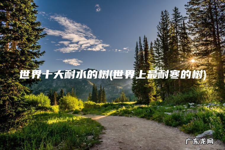 世界十大耐水的树(世界上最耐寒的树)