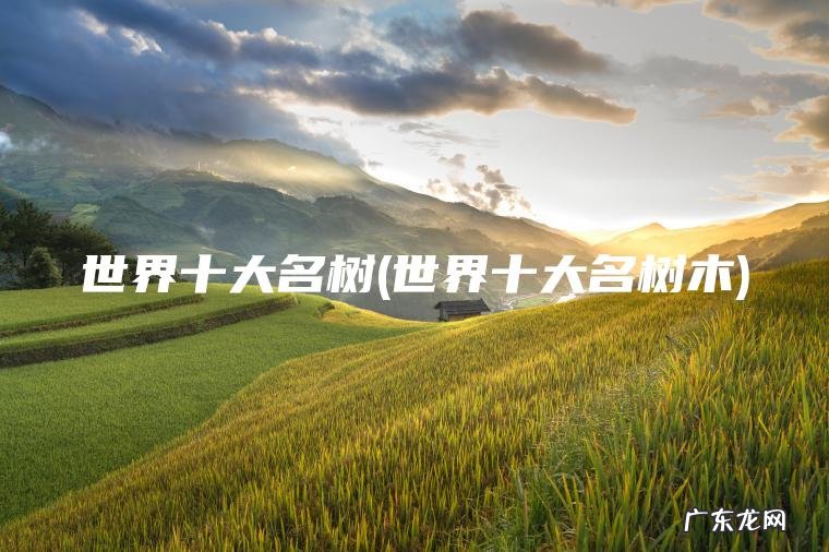 世界十大名树(世界十大名树木)