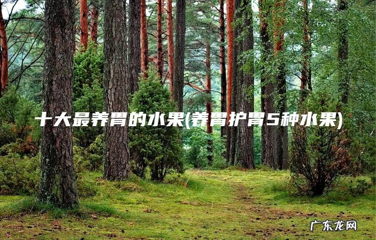 十大最养胃的水果(养胃护胃5种水果)