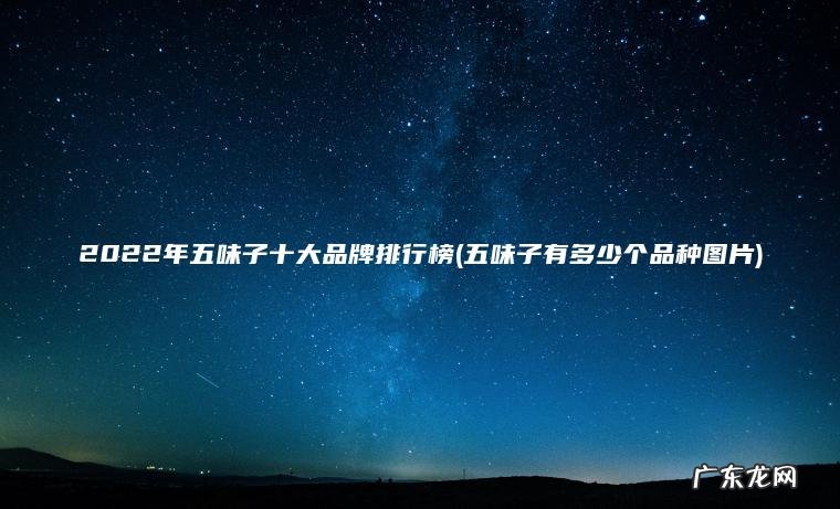 2022年五味子十大品牌排行榜(五味子有多少个品种图片)