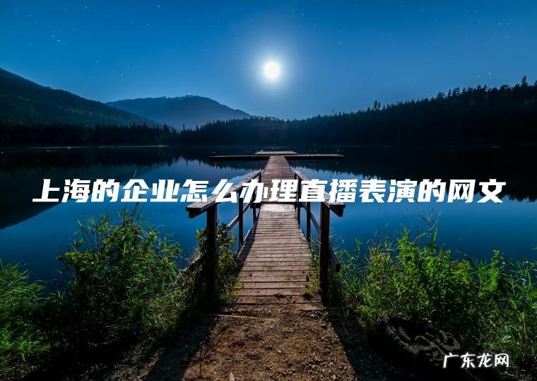 上海的企业怎么办理直播表演的网文