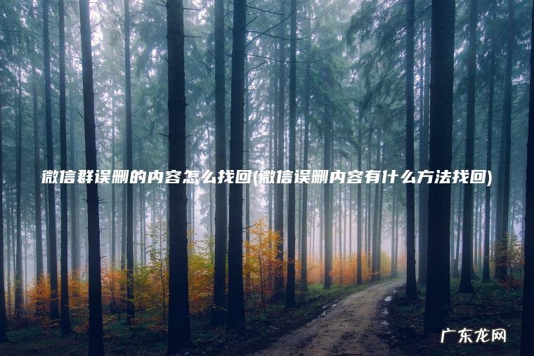 微信群误删的内容怎么找回(微信误删内容有什么方法找回)