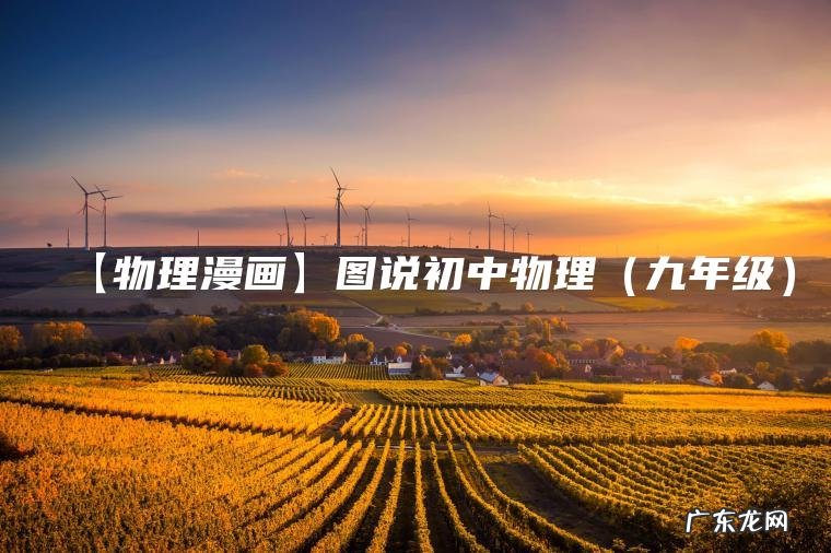 【物理漫画】图说初中物理（九年级）