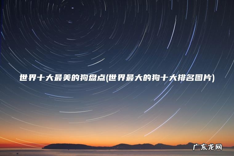 世界十大最美的狗盘点(世界最大的狗十大排名图片)