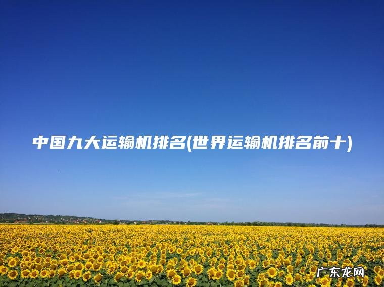 中国九大运输机排名(世界运输机排名前十)
