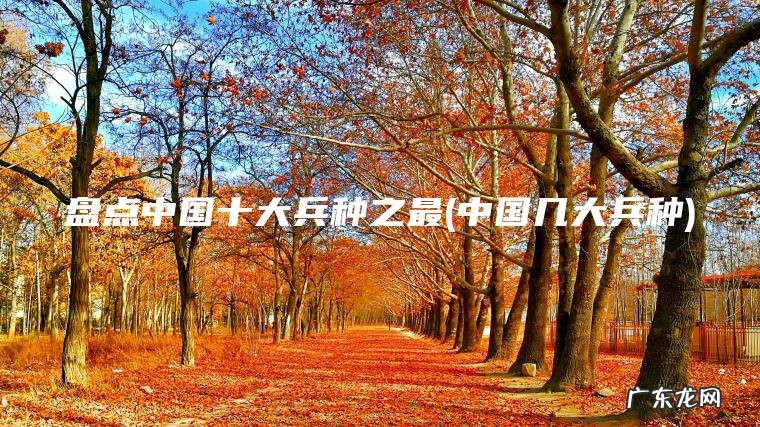 盘点中国十大兵种之最(中国几大兵种)