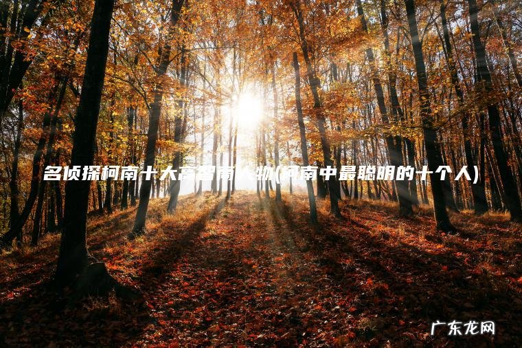 名侦探柯南十大高智商人物(柯南中最聪明的十个人)