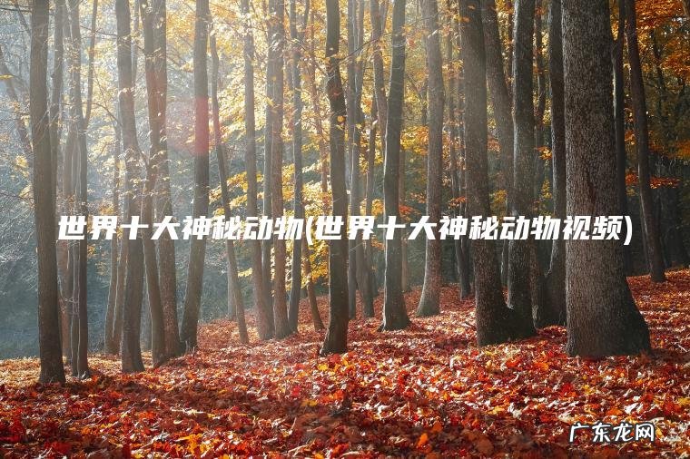 世界十大神秘动物(世界十大神秘动物视频)