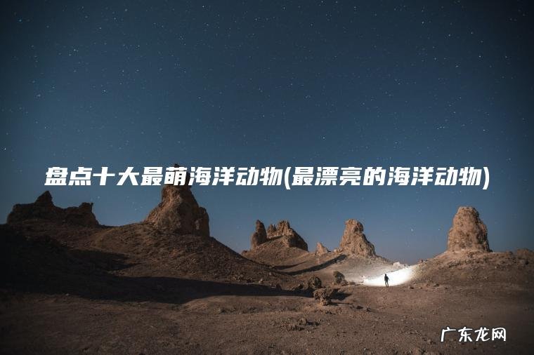 盘点十大最萌海洋动物(最漂亮的海洋动物)