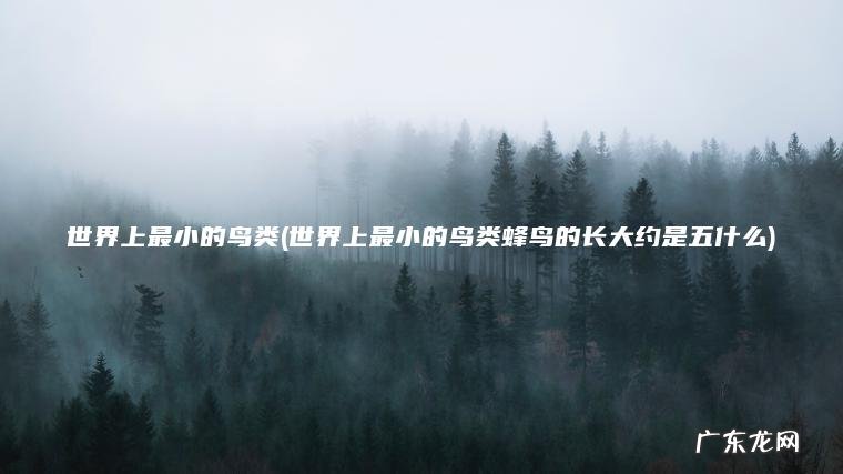 世界上最小的鸟类(世界上最小的鸟类蜂鸟的长大约是五什么)