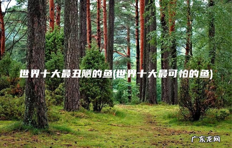 世界十大最丑陋的鱼(世界十大最可怕的鱼)