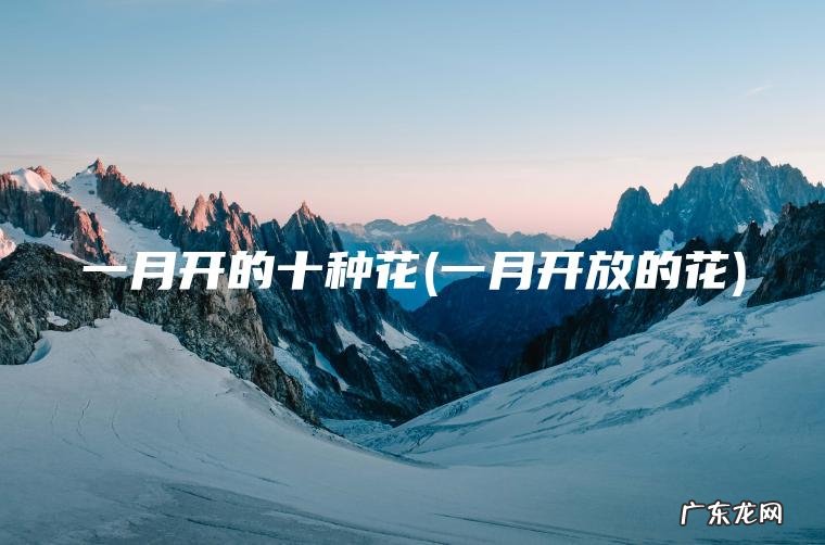 一月开的十种花(一月开放的花)