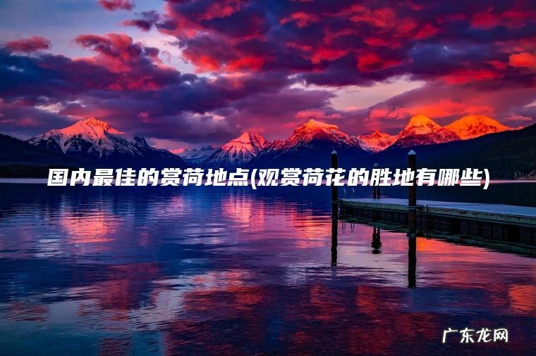 国内最佳的赏荷地点(观赏荷花的胜地有哪些)