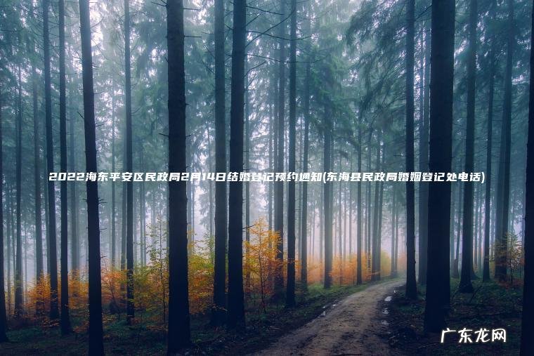 2022海东平安区民政局2月14日结婚登记预约通知(东海县民政局婚姻登记处电话)