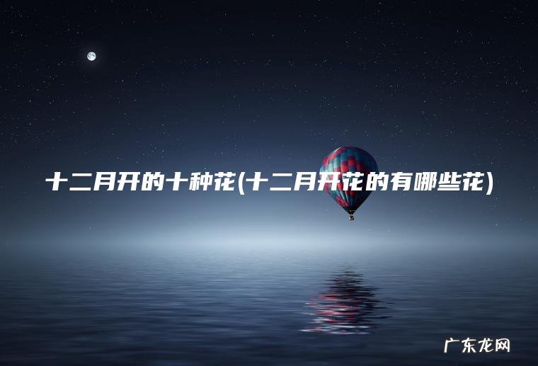 十二月开的十种花(十二月开花的有哪些花)