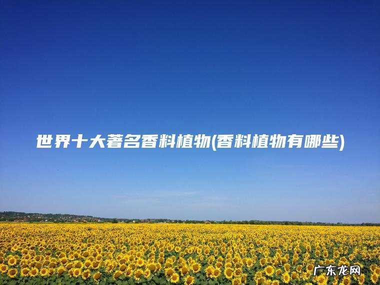 世界十大著名香料植物(香料植物有哪些)