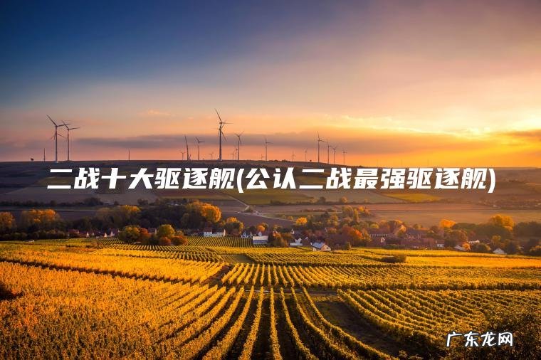 二战十大驱逐舰(公认二战最强驱逐舰)