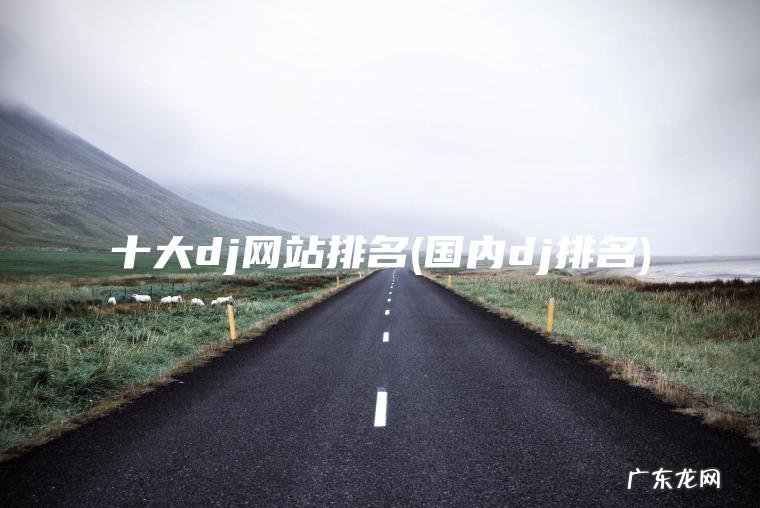 十大dj网站排名(国内dj排名)