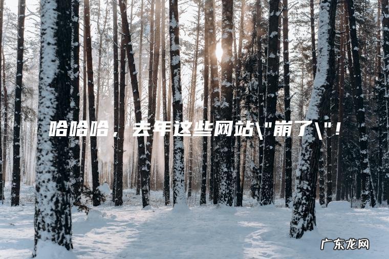 哈哈哈， 去年这些网站\”崩了\”！