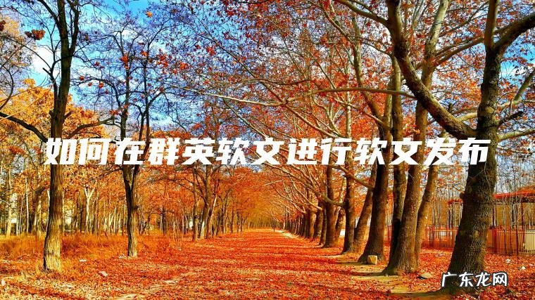 如何在群英软文进行软文发布