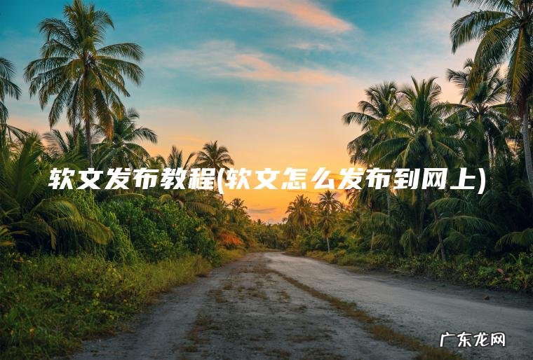软文发布教程(软文怎么发布到网上)
