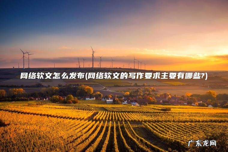 网络软文怎么发布(网络软文的写作要求主要有哪些?)
