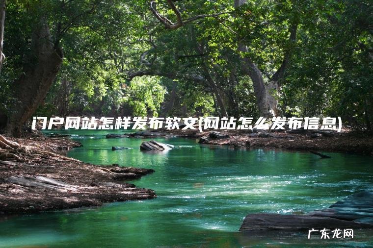 门户网站怎样发布软文(网站怎么发布信息)