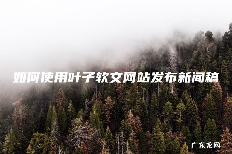 如何使用叶子软文网站发布新闻稿