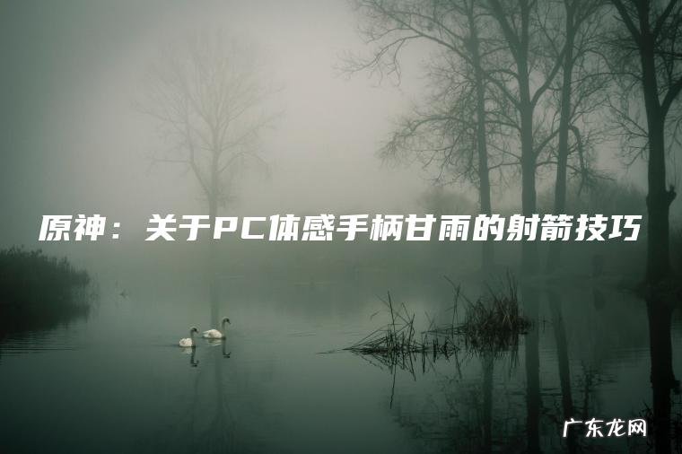 原神：关于PC体感手柄甘雨的射箭技巧