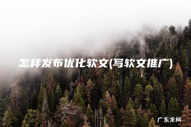 怎样发布优化软文(写软文推广)