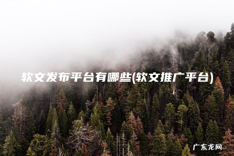 软文发布平台有哪些(软文推广平台)